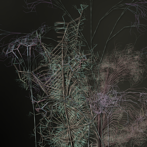 HERBNIK project preview