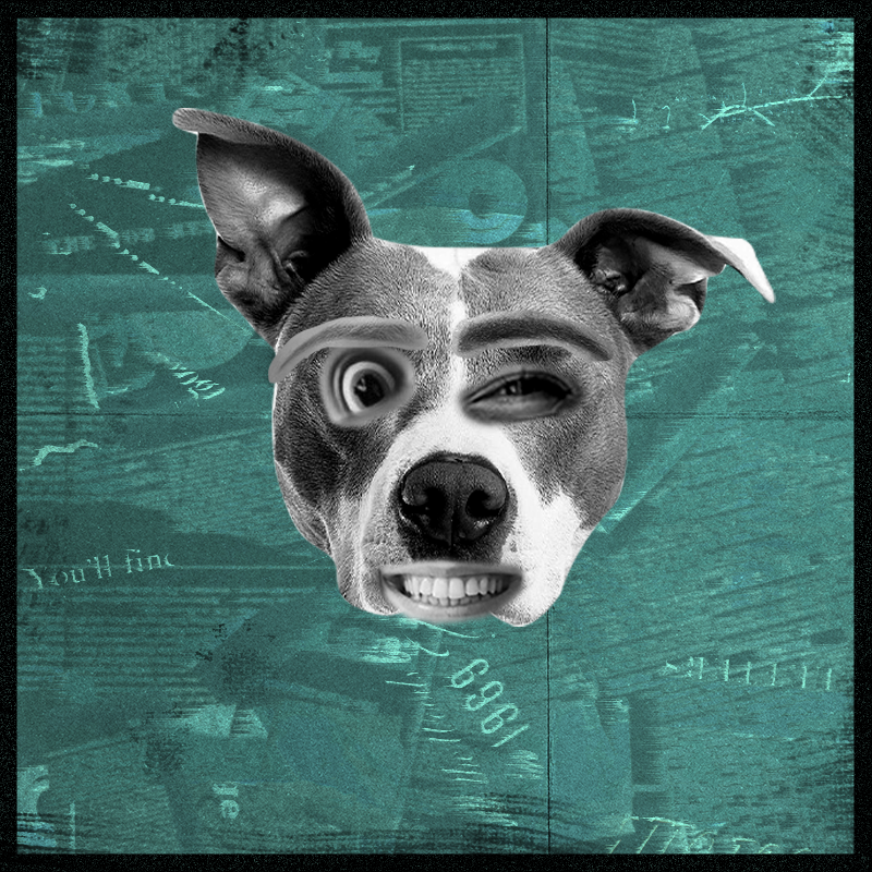 Doggenstein #4 static token preview