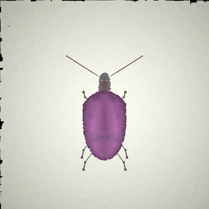 Beetle Sketches #5 static token preview