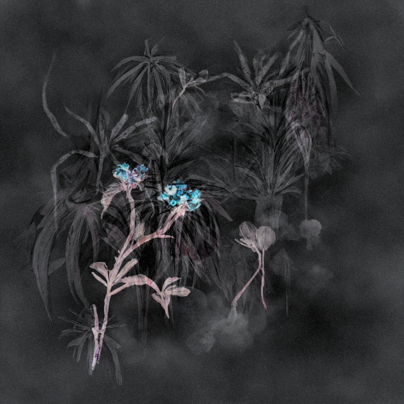 Hauntological Herbarium #17 static token preview