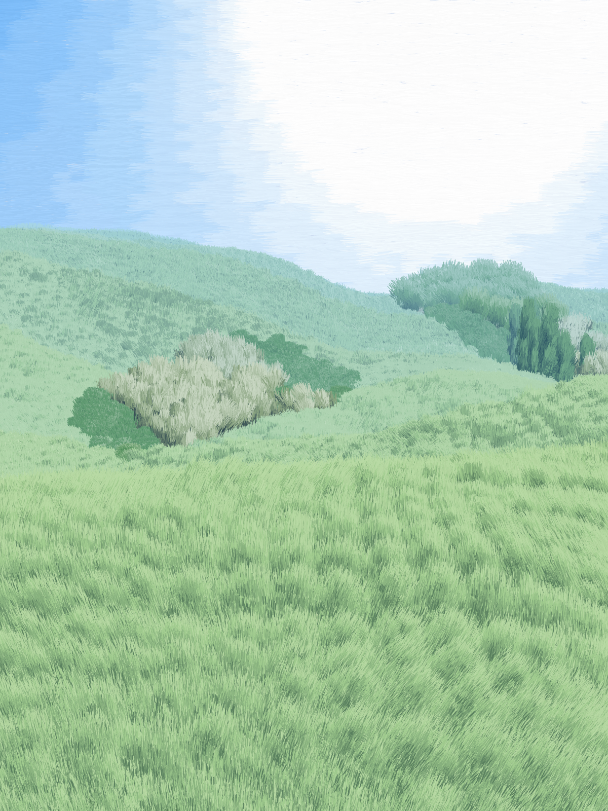 Provence #15 static token preview