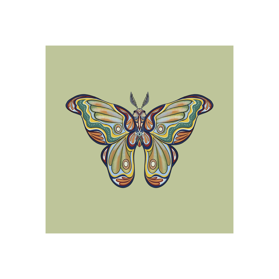 The Moth Experiment #18 static token preview