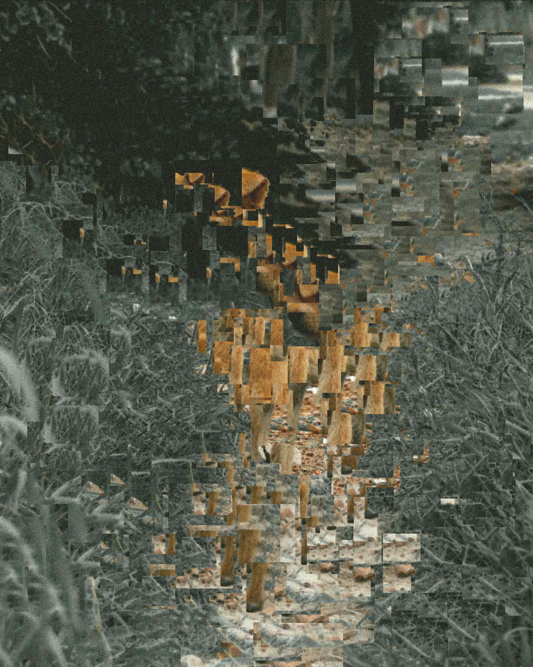 1888 - Glitch #2 static token preview