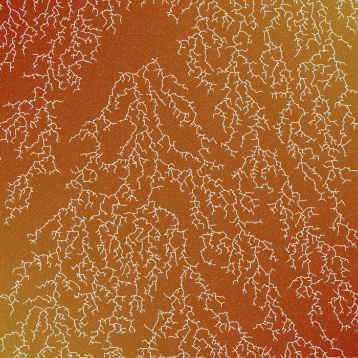 Frozen Windows #7 static token preview