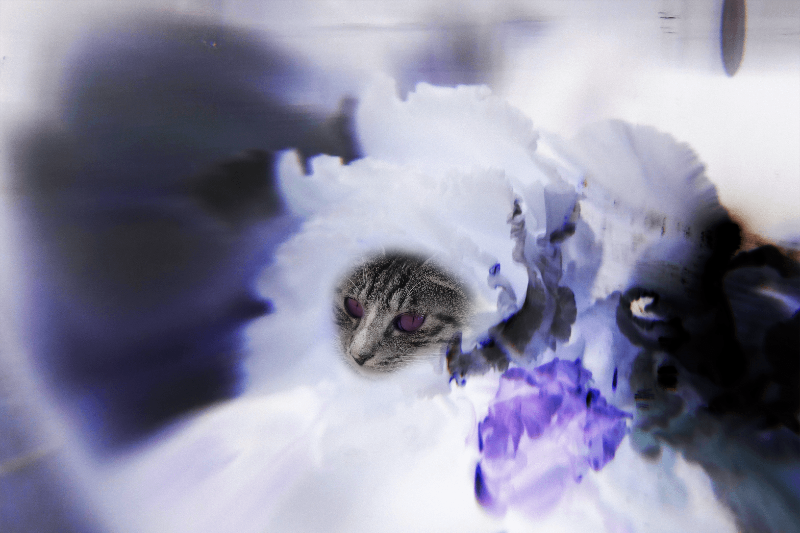 Flowering Cat #1 static token preview