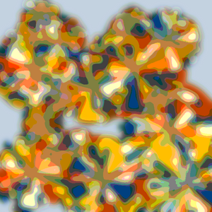 Floral Fusion project preview
