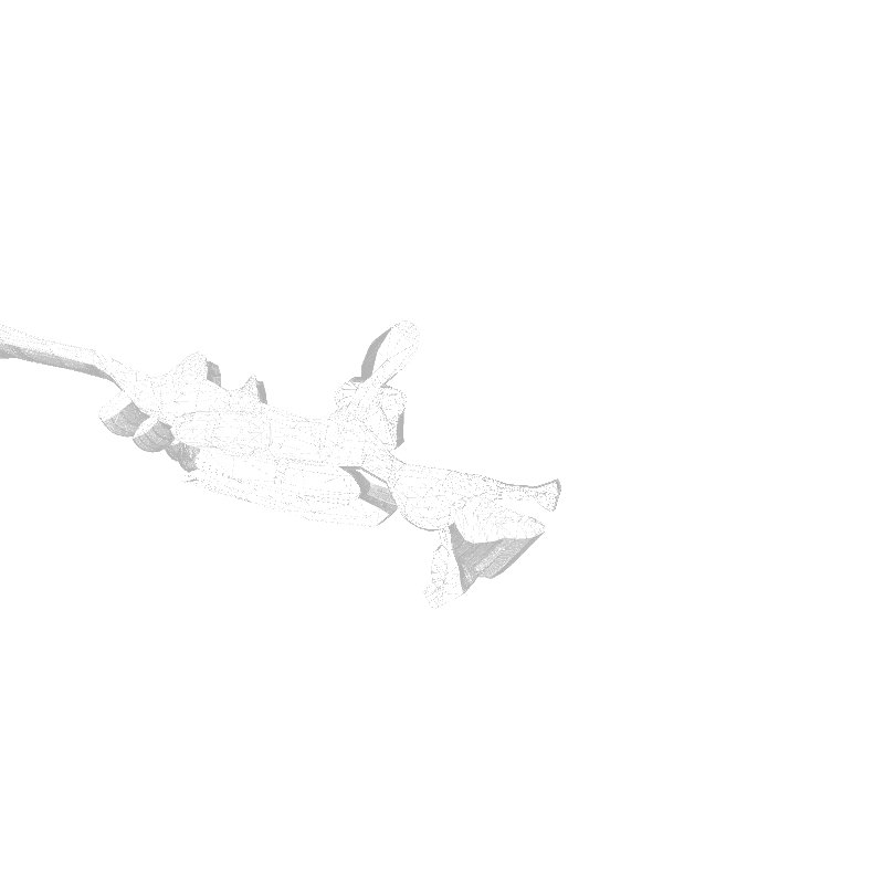 traces #10 static token preview