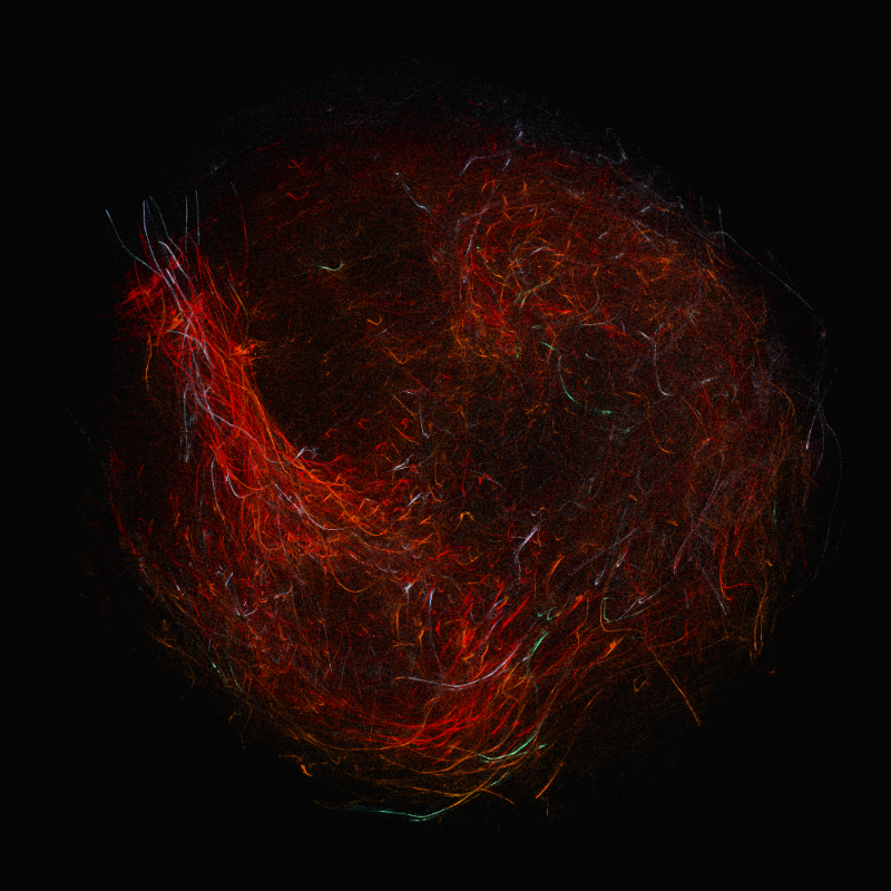 balls in vector fields #10 static token preview