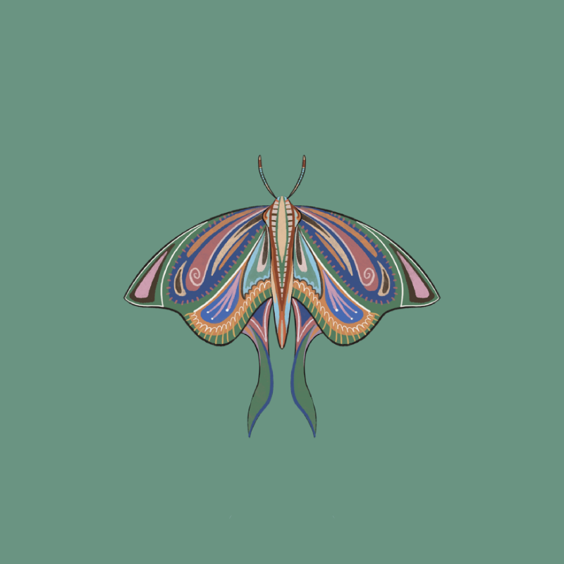The Moth Experiment 2.0 P2 #16 static token preview