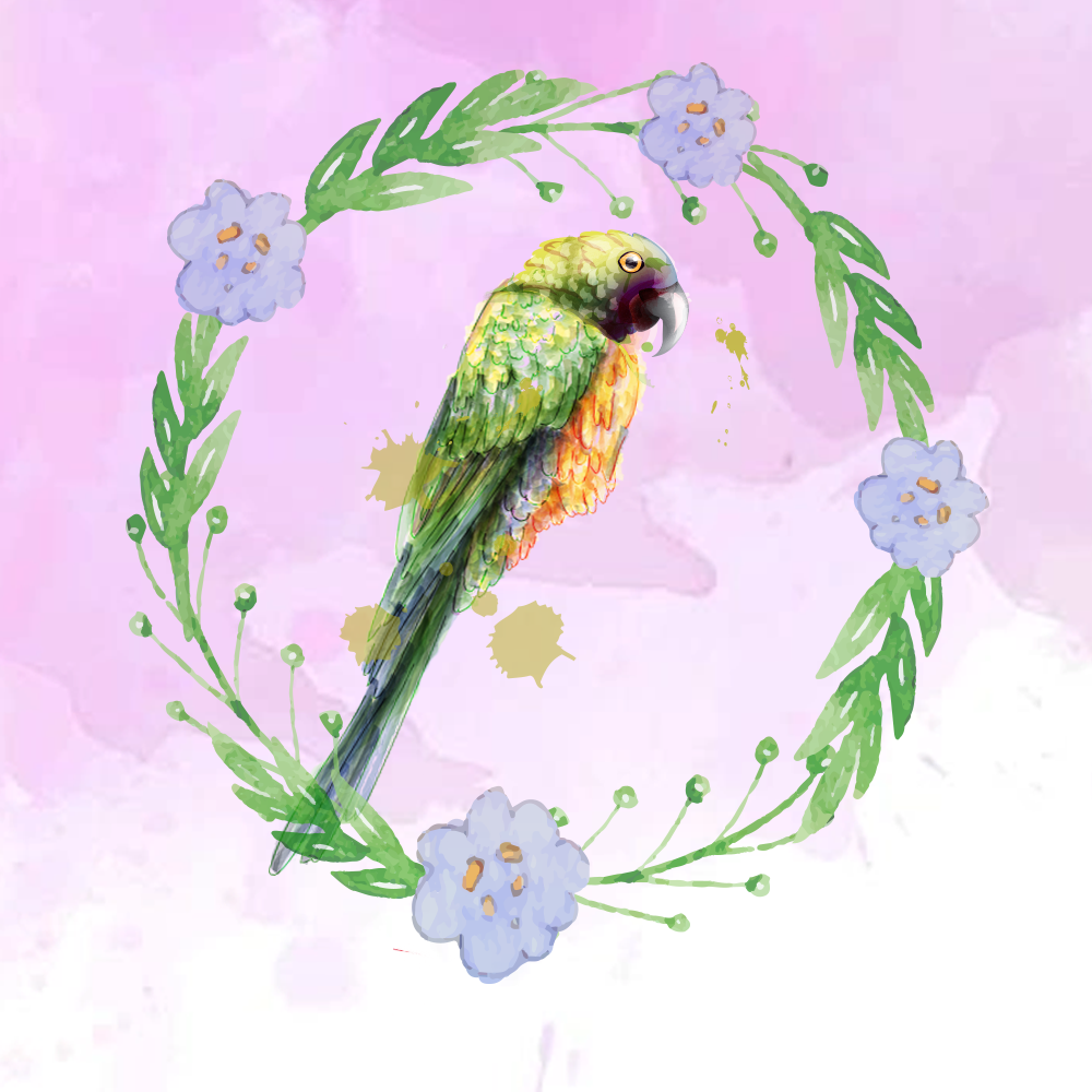 Random Tropical Birds #6 static token preview