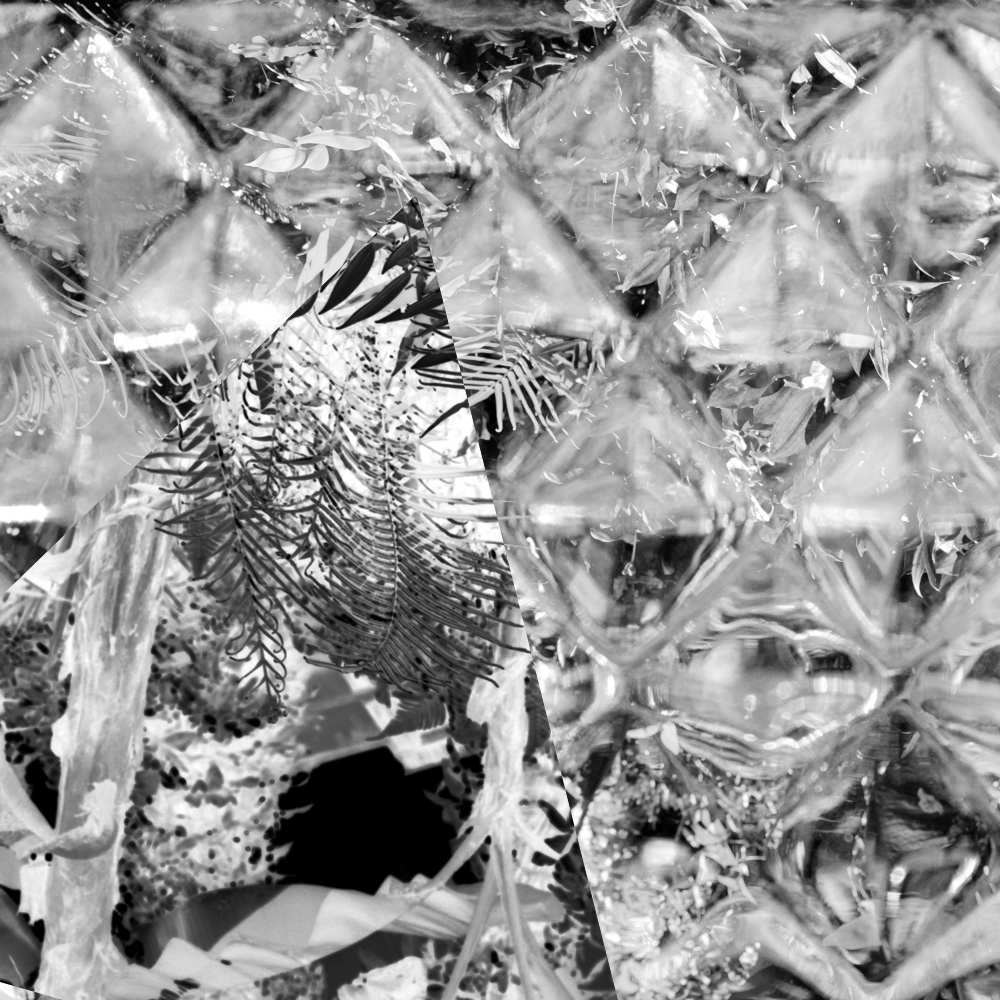 Subjective photography #1 #15 static token preview