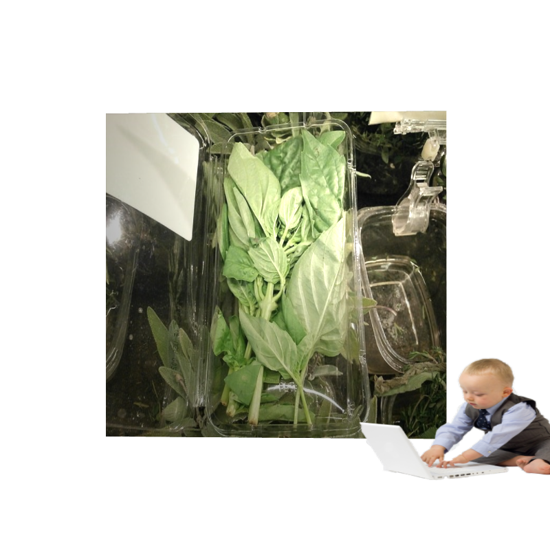 ART BASIL 2022 #9 static token preview