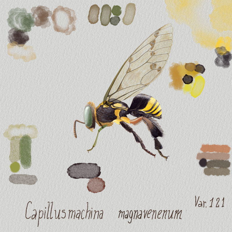 Randomic Brazilian Insects 1 #6 static token preview