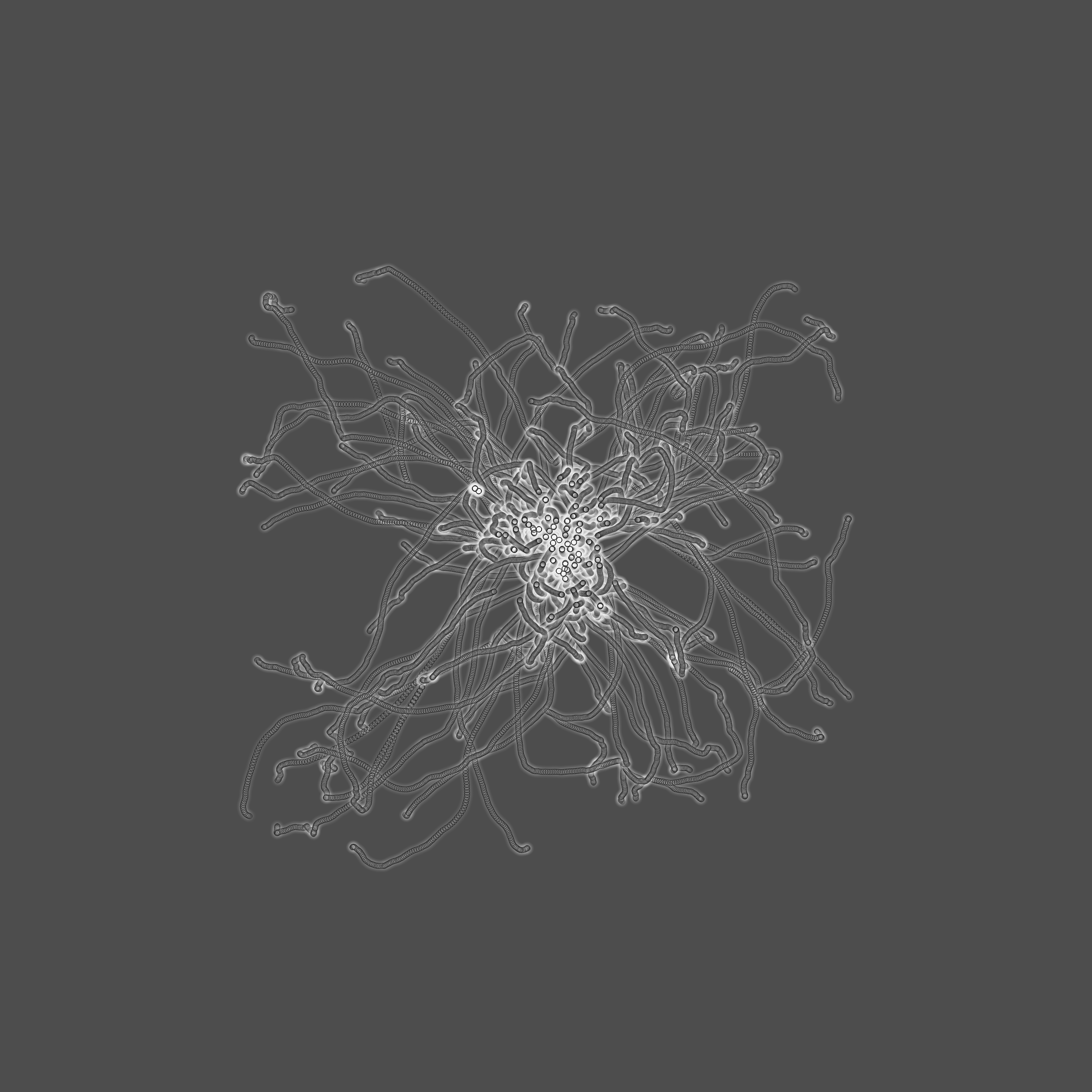 grey fungi wisdom #21 static token preview