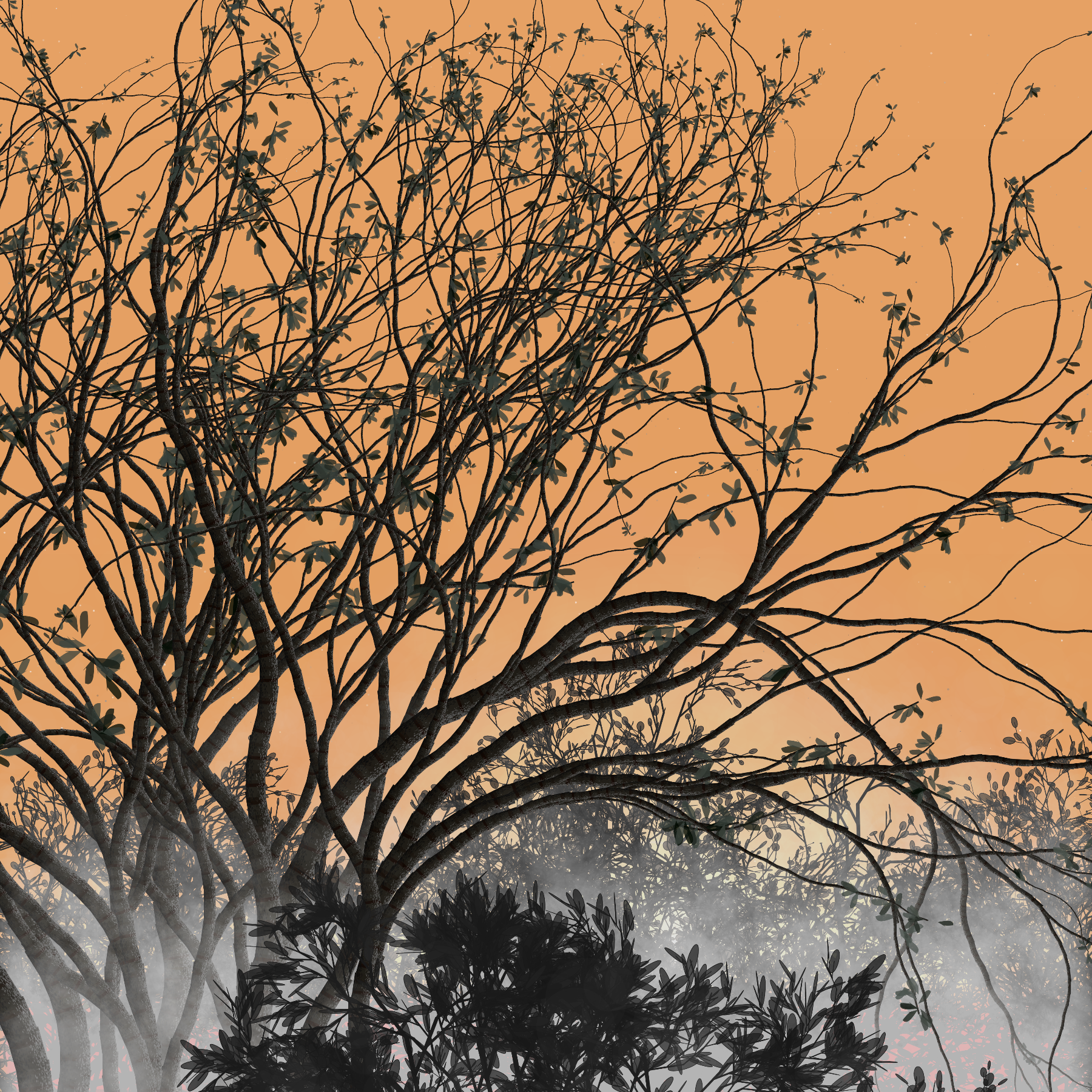 Morning Mist #15 static token preview