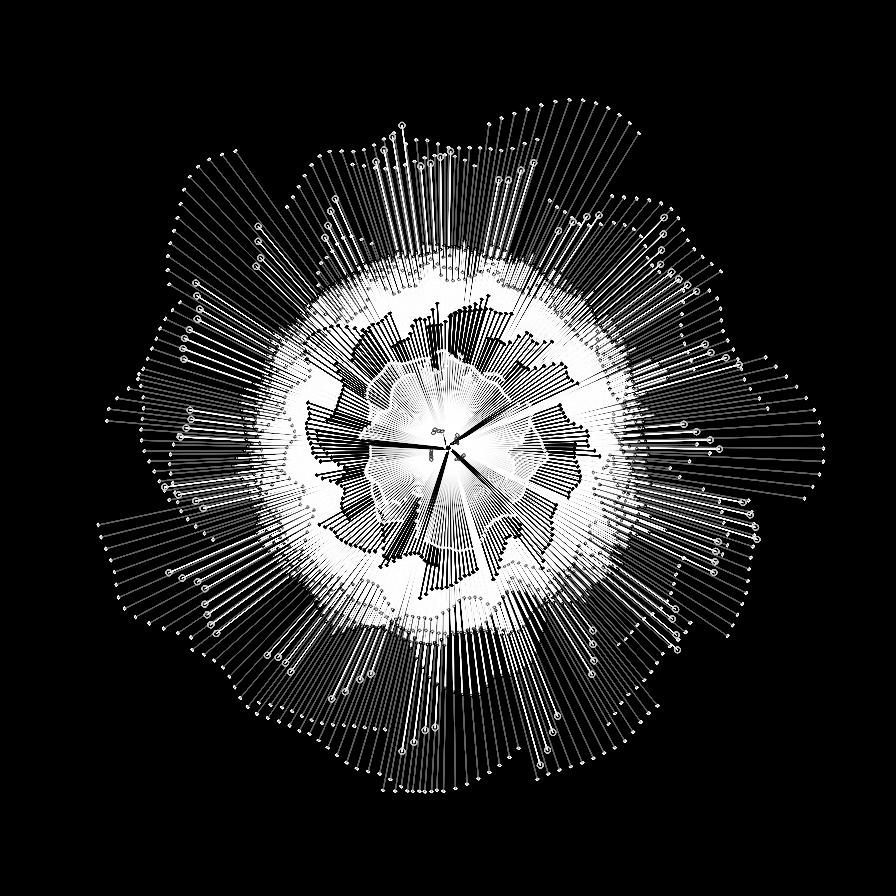 Camellia #25 static token preview