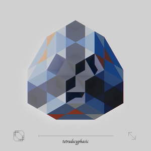 polyzygy project preview