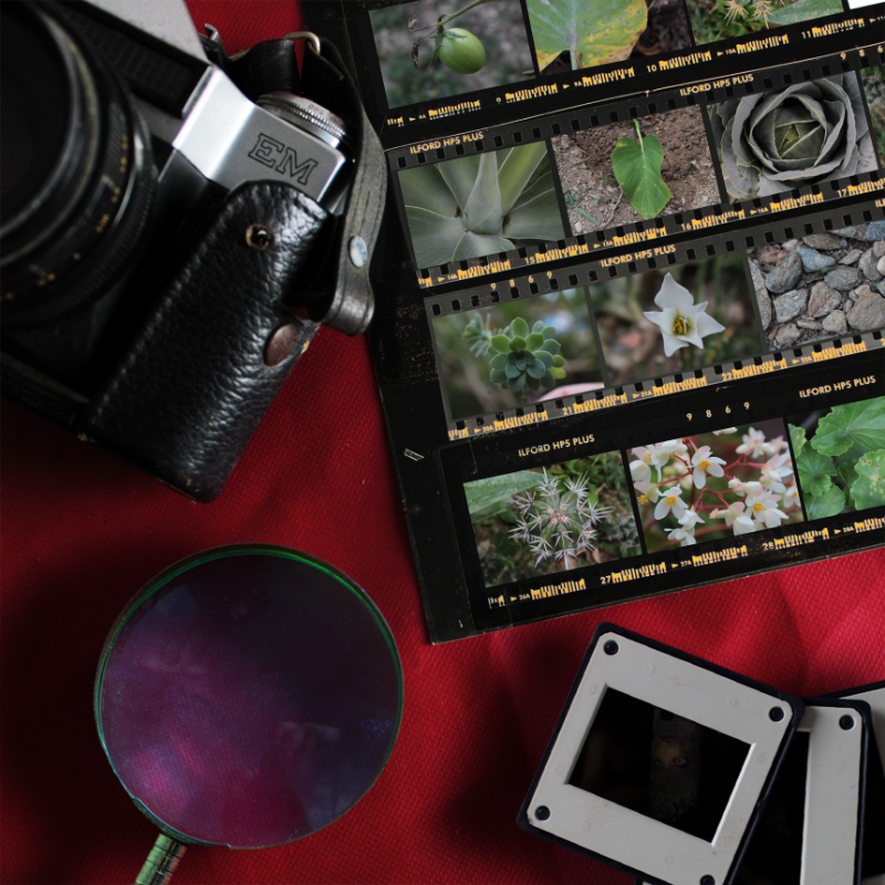 Contact Sheet #9 static token preview
