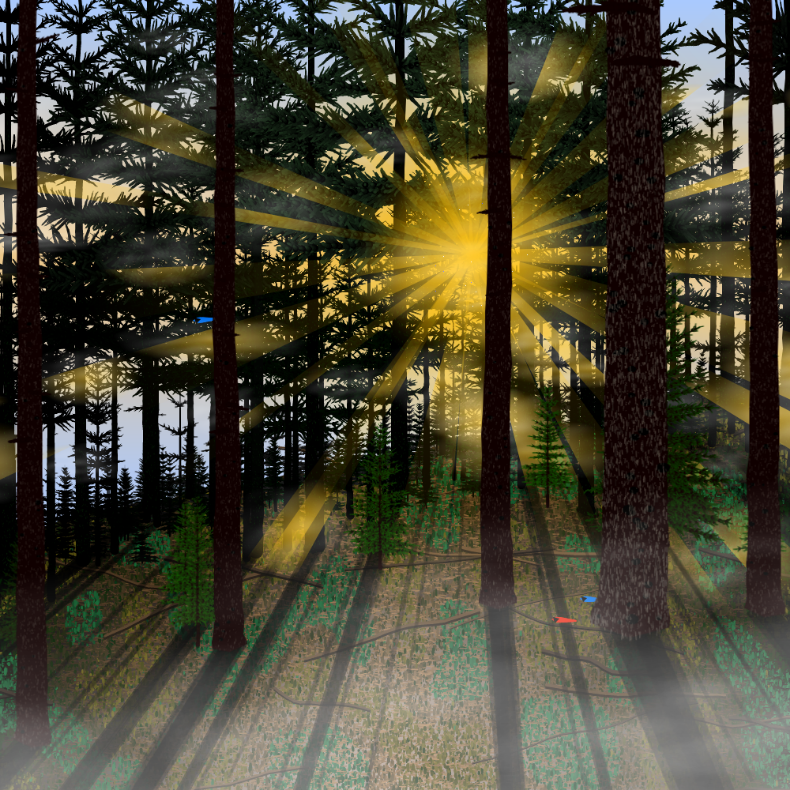 Forest Sunrise #20 static token preview