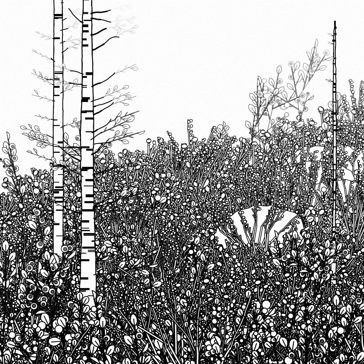 Swedish Forest #20 static token preview