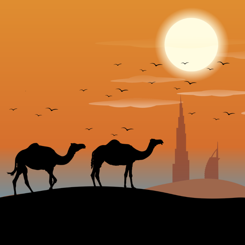 We Care...Camel #7 static token preview