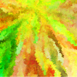 Color garden project preview