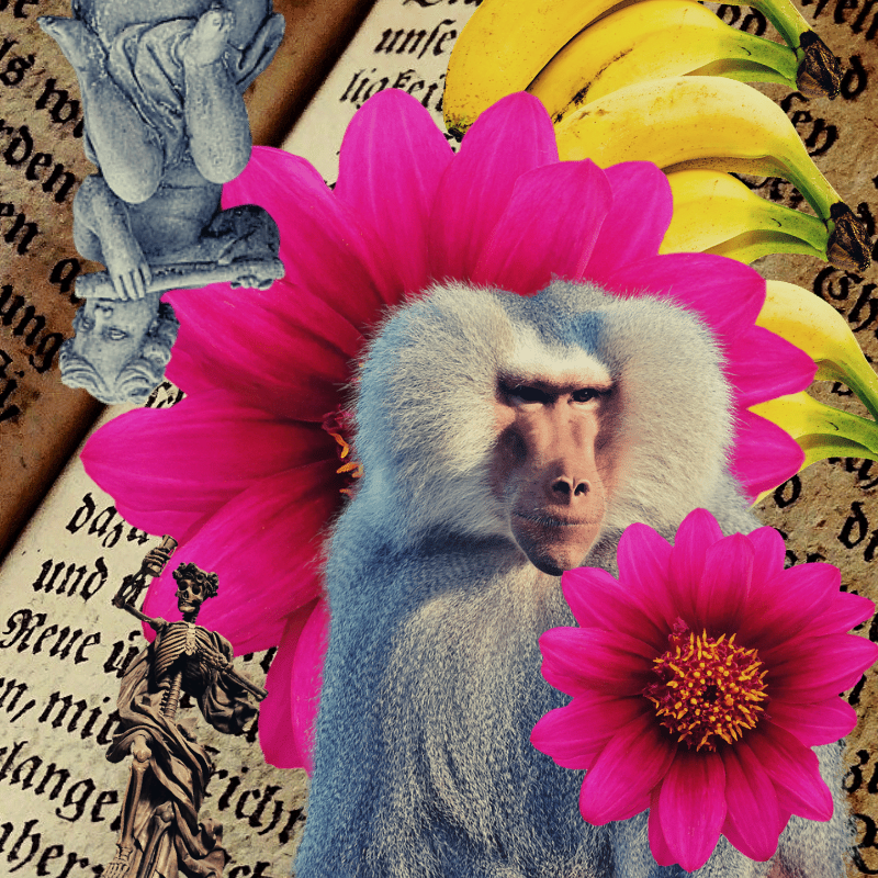 Banana flower #24 static token preview