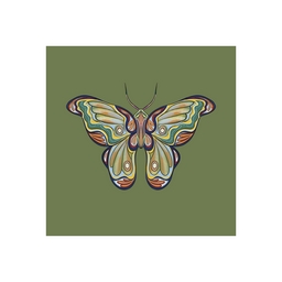 The Moth Experiment project preview