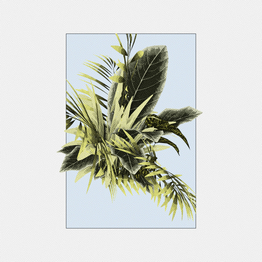Botany #6 static token preview