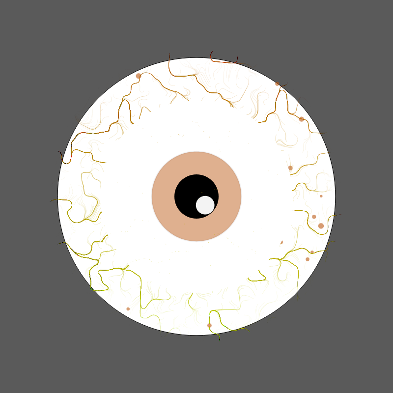 Eyeball after final Exam #1 static token preview