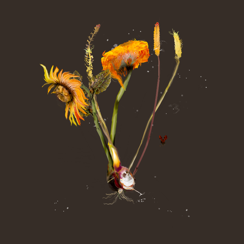 Generative Still Life: Still Life 17.0 #9 static token preview