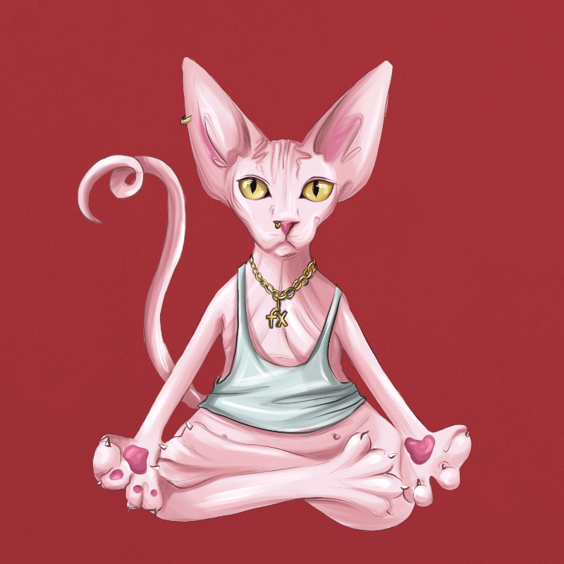 YogaCat #14 static token preview