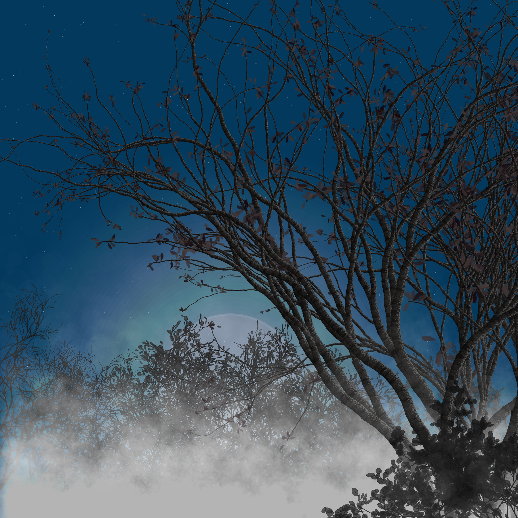 Morning Mist #1 static token preview