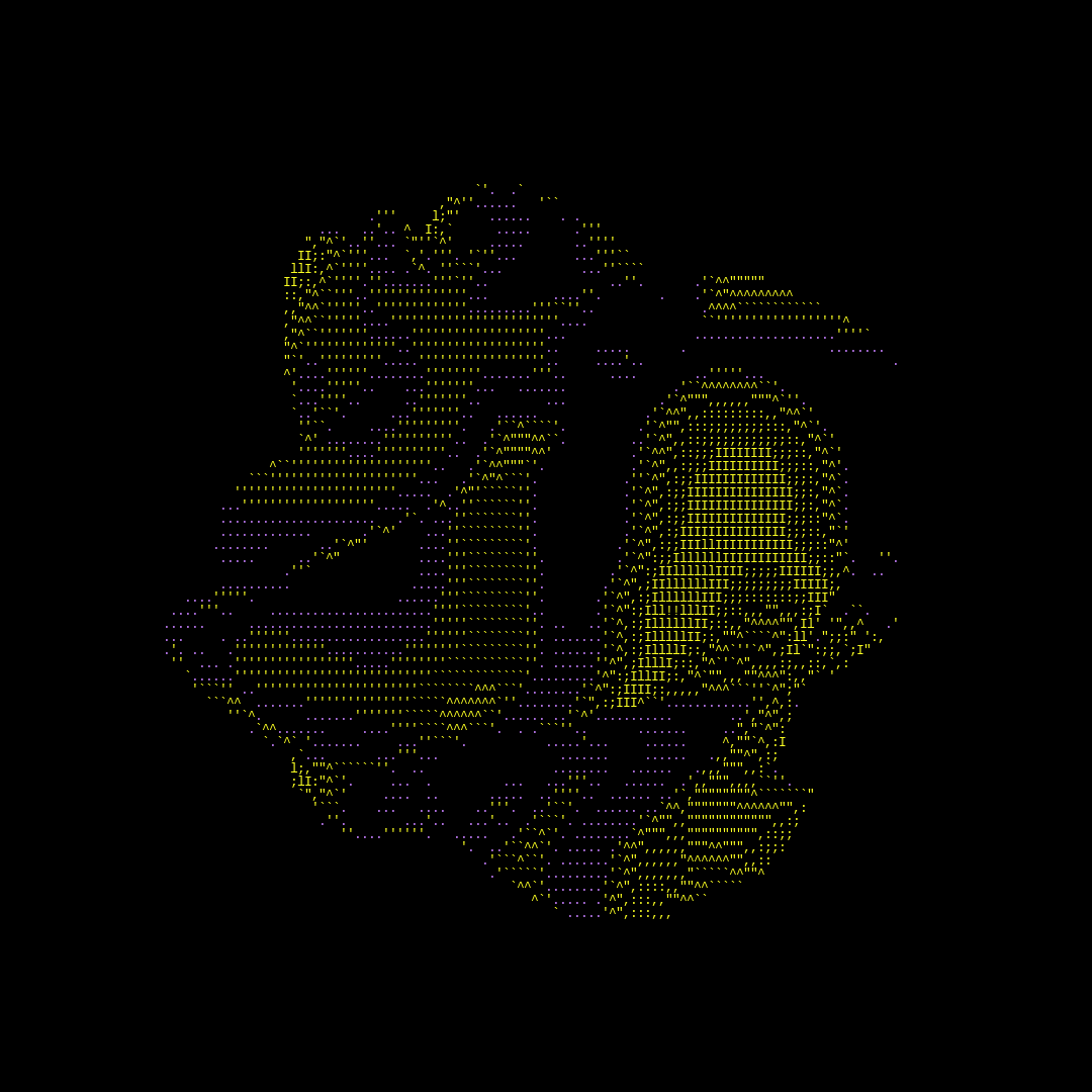 parts of us - ascii #16 static token preview