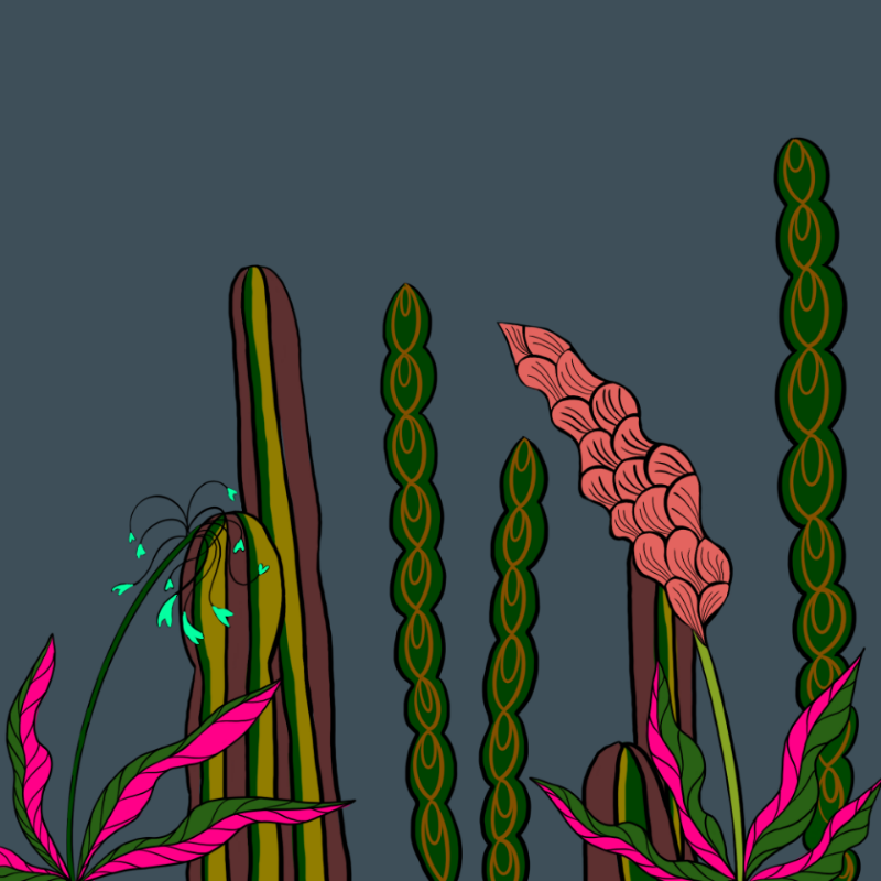 Desert Exuberance #10 static token preview