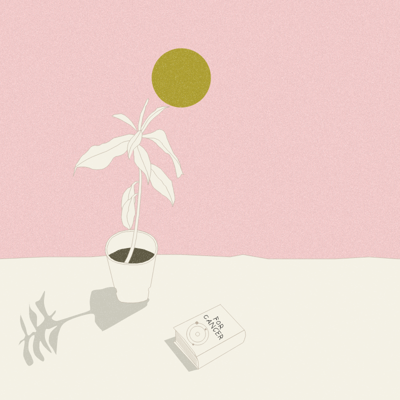 Still Life #12 #11 static token preview