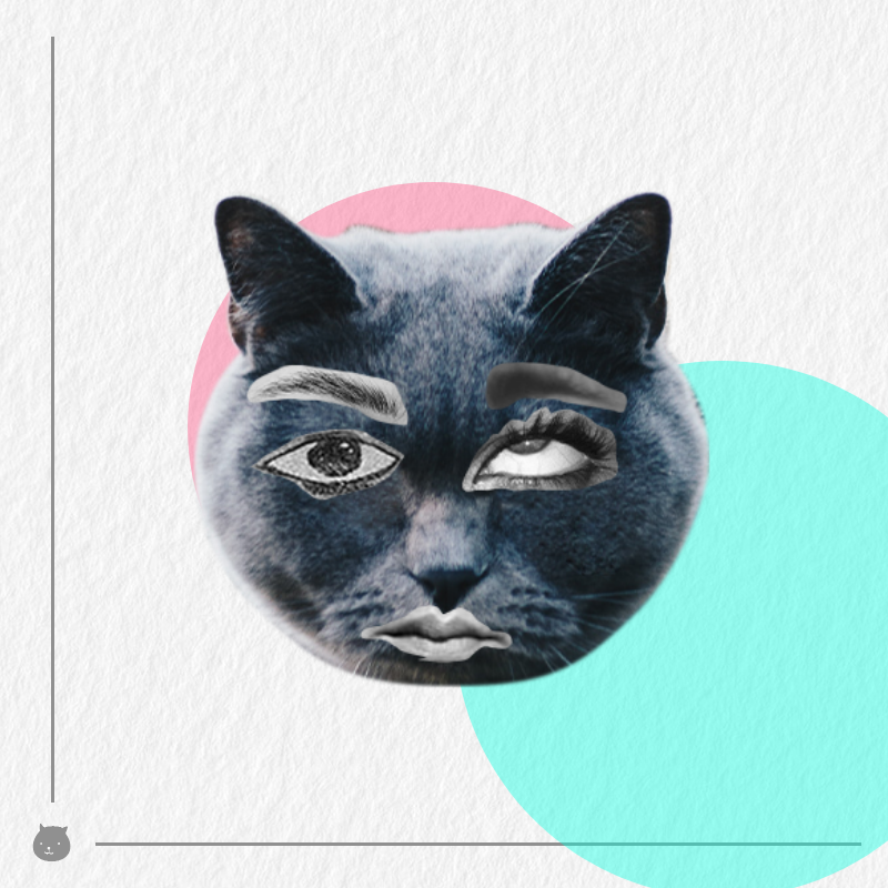 Kittenstein #19 static token preview