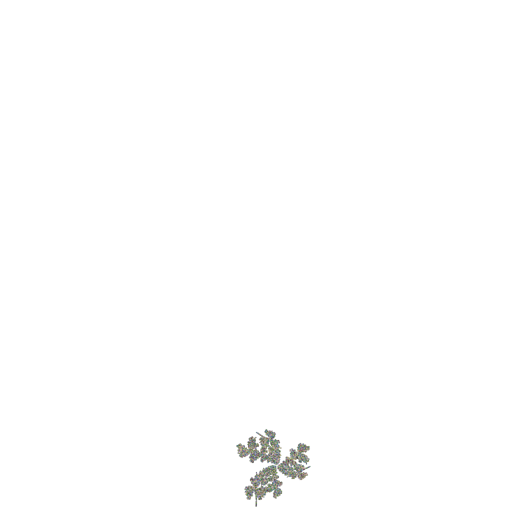 Fern Blooming #8 static token preview
