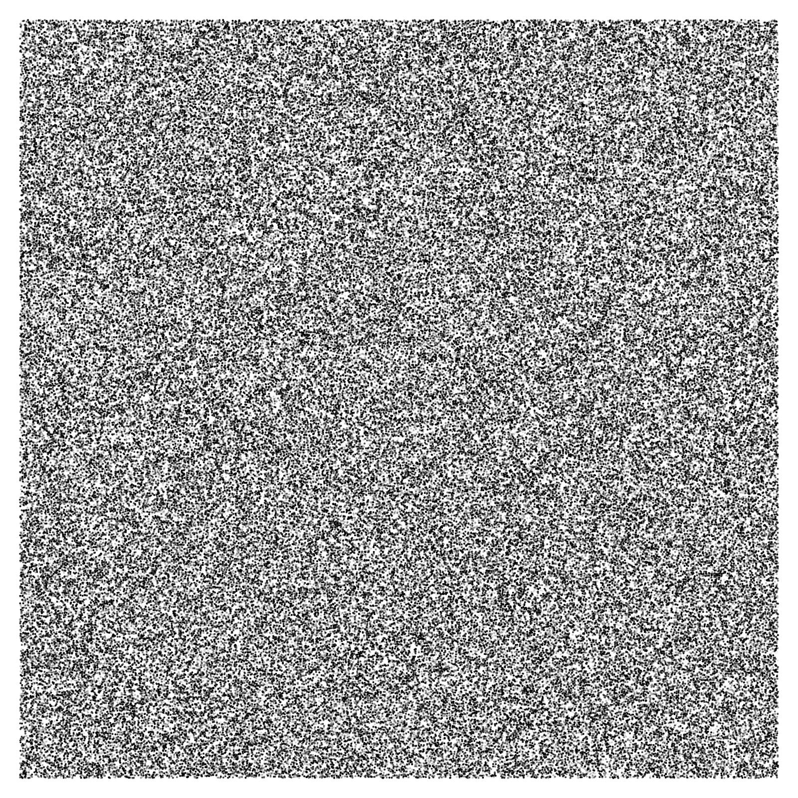 Noise #11 static token preview