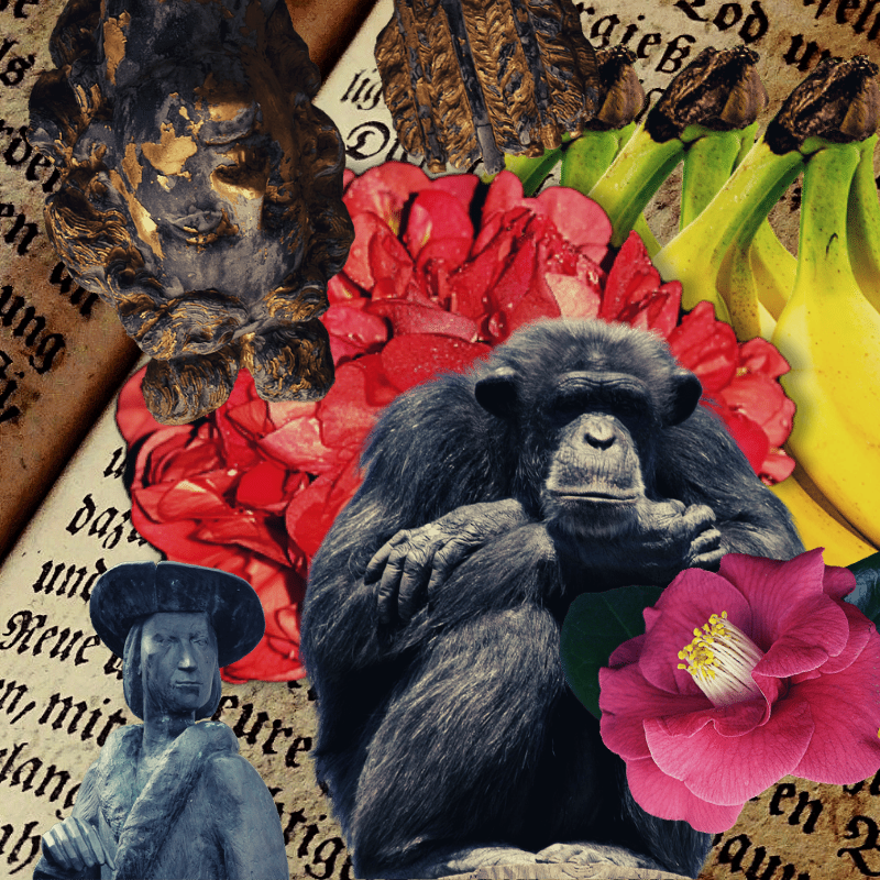 Banana flower #23 static token preview