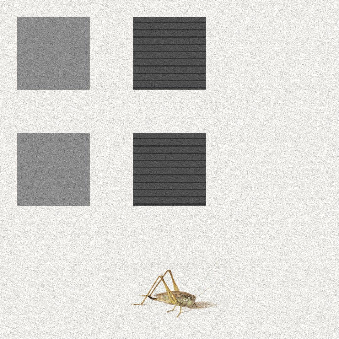 Grasshopper #23 static token preview