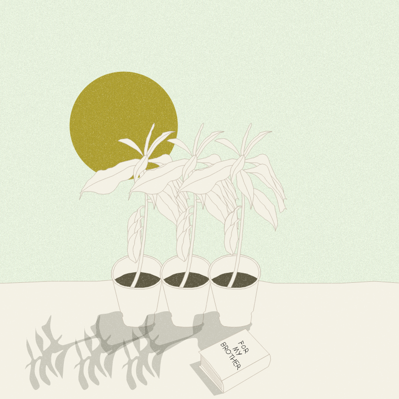 Still Life #12 #29 static token preview