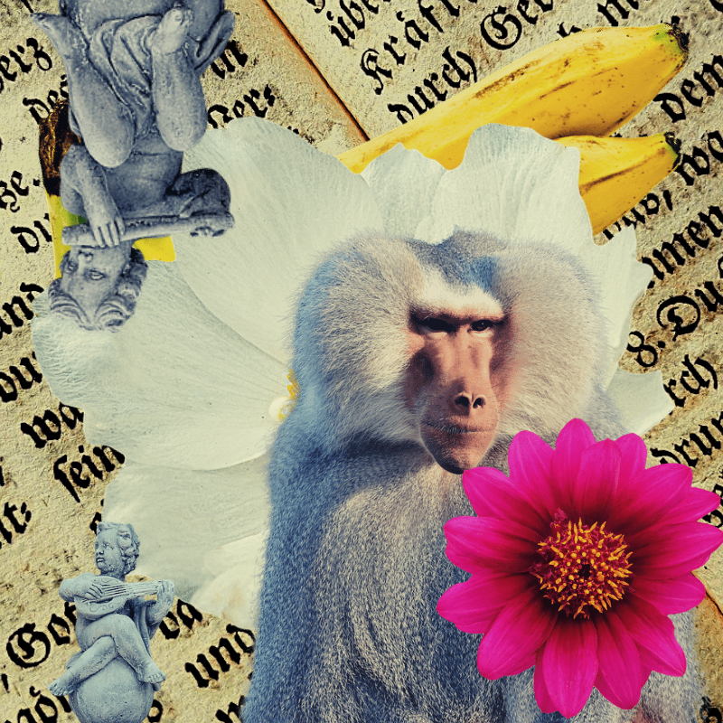 Banana flower #14 static token preview