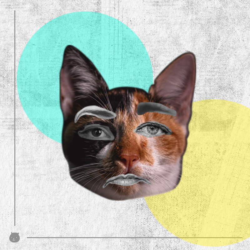Kittenstein #17 static token preview