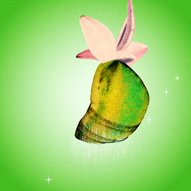 Fresh Fruit #22 static token preview