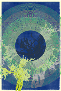 illusion project preview
