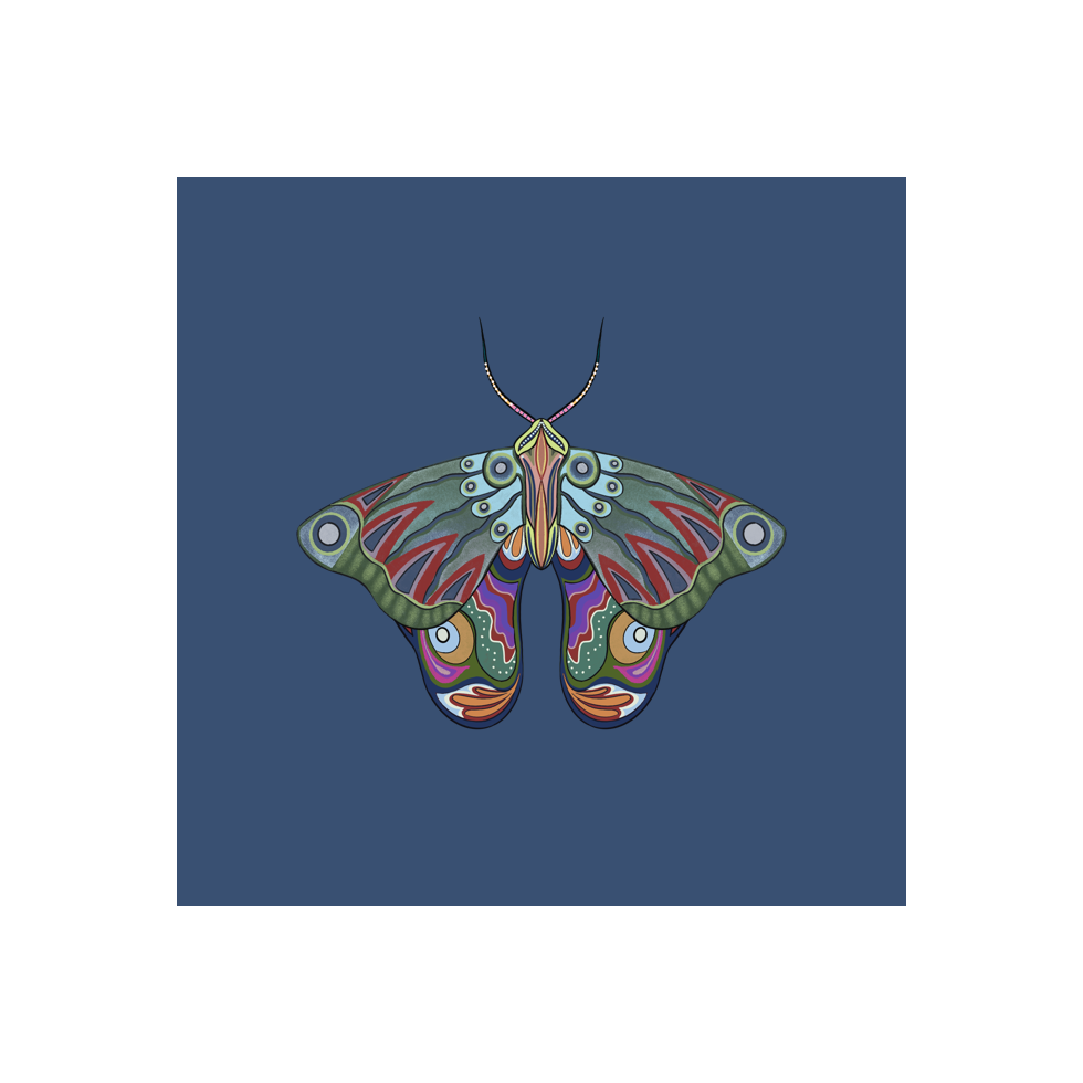 The Moth Experiment #3 static token preview