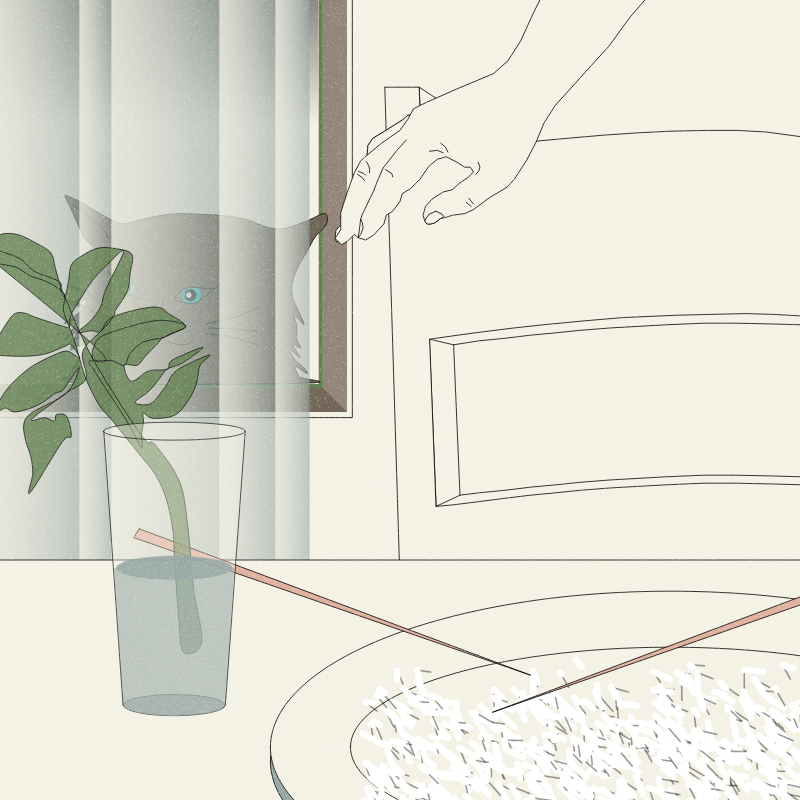 Still Life #6 #2 static token preview