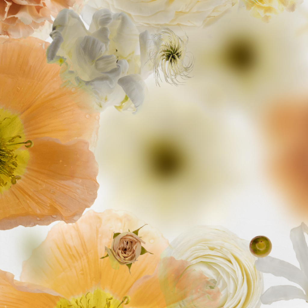 Broken Flowers #9 static token preview