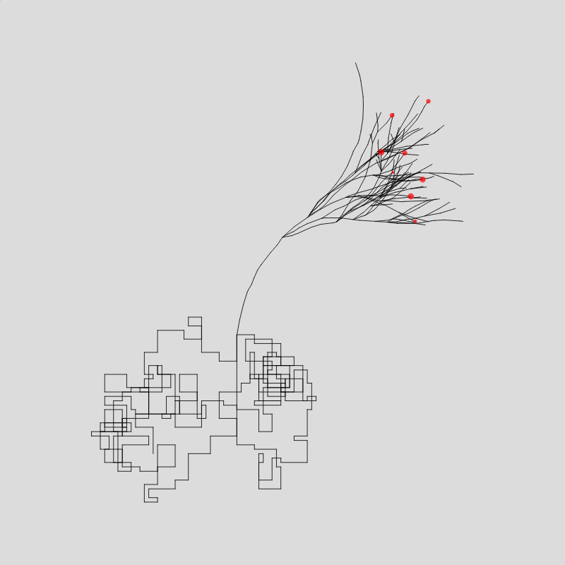Algorithmic Tree #12 static token preview